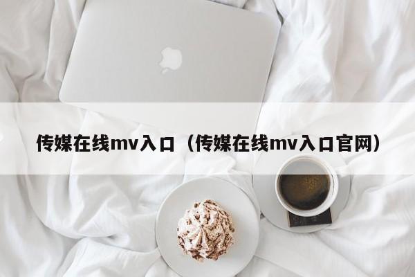 传媒在线mv入口（传媒在线mv入口官网）