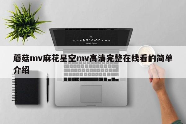 蘑菇mv麻花星空mv高清完整在线看的简单介绍