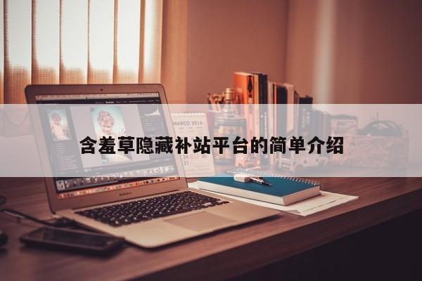含羞草隐藏补站平台的简单介绍