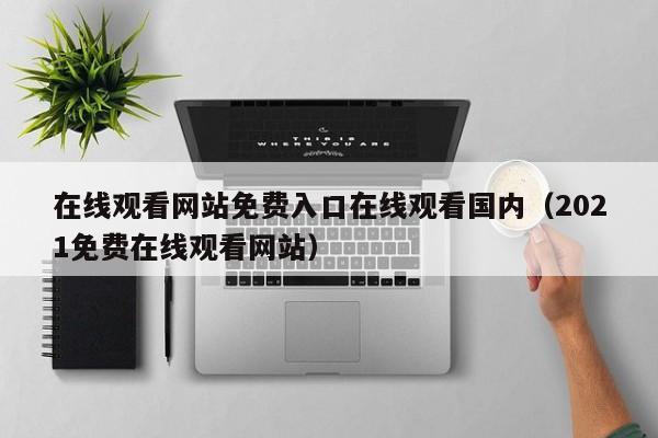 在线观看网站免费入口在线观看国内（2021免费在线观看网站）
